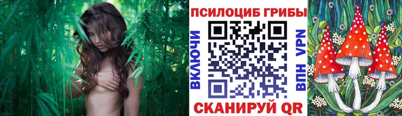 купить наркоту  Красноуфимск  Псилоцибиновые грибы GOLDEN TEACHER 