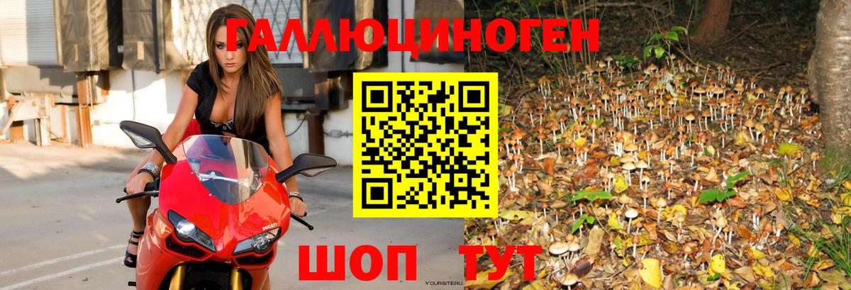 Псилоцибиновые грибы MAGIC MUSHROOMS  Вход с VPN  Красноуфимск 